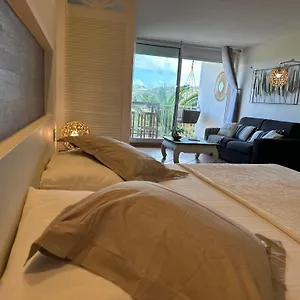  Apartment Reves De Tropiques - Grands Avec Piscine Vue Ocean Acces Direct